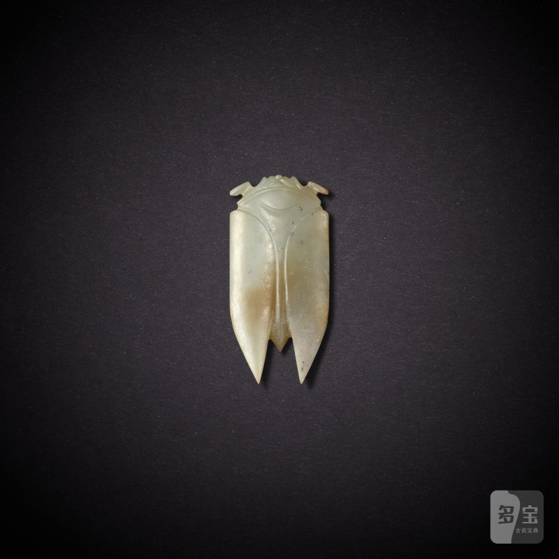 A white jade cicada, Han dynasty | 漢 白玉蟬